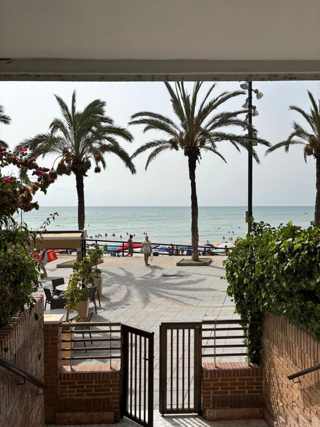 Wohnung in Torrevieja, Alicante, Spanien 3 Schlafzimmer, 93 m2 Nr. 131490
