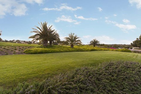 Apartamento en venta San Miguel de Salinas, Alicante, España 2 dormitorios, 102 m2 No. 120148 - foto 16