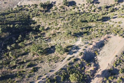 Land plot for sale Mijas, Malaga, Spain 178820 sq.m. No. 131311 - photo 20