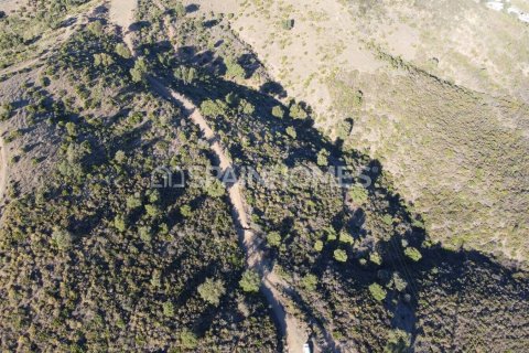 Land plot for sale Mijas, Malaga, Spain 178820 sq.m. No. 131311 - photo 21