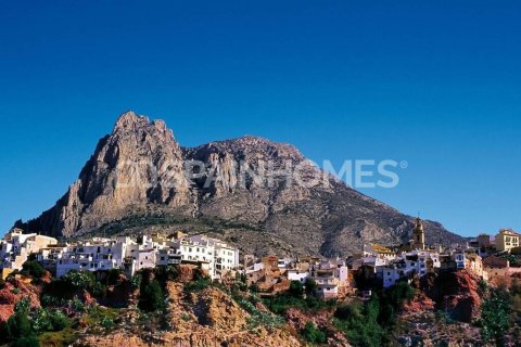 Lägenhet till salu i Denia, Alicante, Spanien 2 sovrum, 80 kvm. Nr. 131309 - foto 19