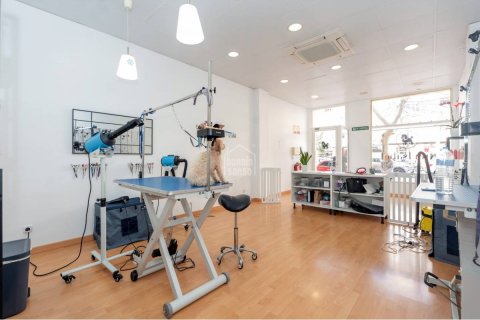 Commercial property for sale Mahon, Menorca, Spain 168 sq.m. No. 130842 - photo 6