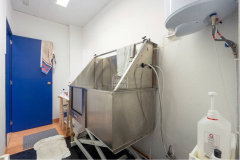 Commercial property for sale Mahon, Menorca, Spain 168 sq.m. No. 130842 - photo 7