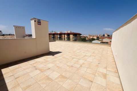 Apartamento en venta Torre de la Horadada, Alicante, España 2 dormitorios, 101 m2 No. 125710 - foto 23