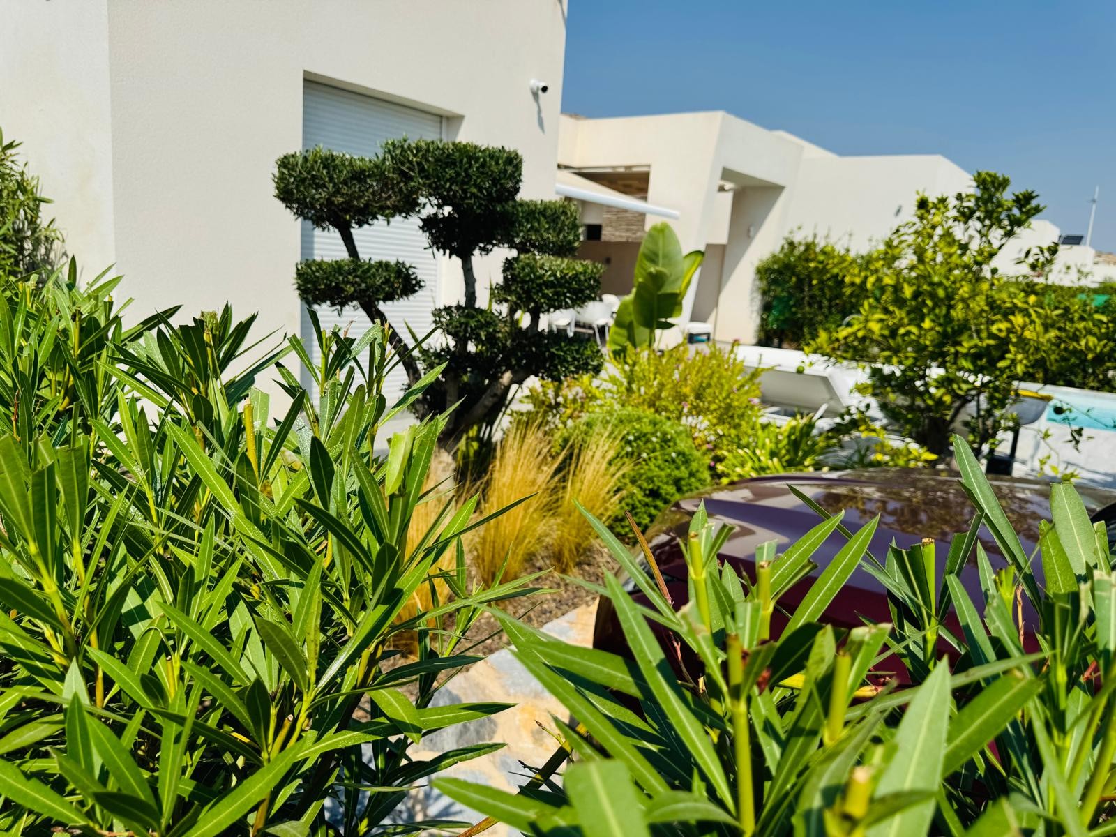 Villa in Algorfa, Alicante, Spanien 2 Schlafzimmer, 132 m2 Nr. 131646