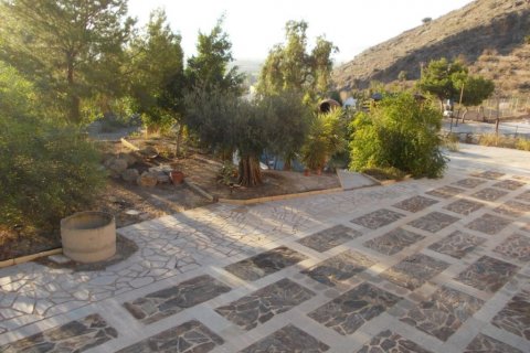 Villa zum Verkauf Alicante, Spanien 4 Schlafzimmer, 500 m2 Nr. 128911 - Foto 20