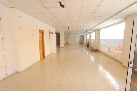 Commercial property à vendre Torrevieja, Alicante, Espagne, 452 m2 No. 128907 - photo 3