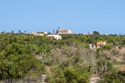 Finca zum Verkauf Santanyi, Mallorca, Spanien 4 Schlafzimmer, 388 m2 Nr. 128070 - Foto 17