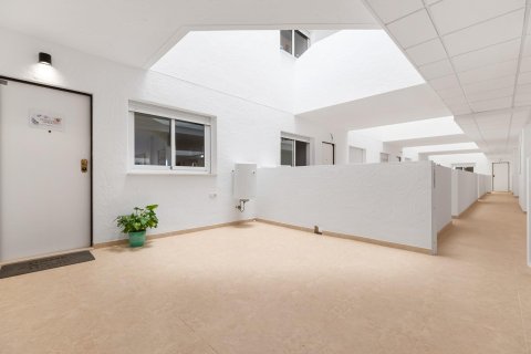 Huoneisto myytävänä Cabo Roig, Alicante, Espanja, 2 makuuhuonetta, 69 m2 No. 124879 - kuva 12