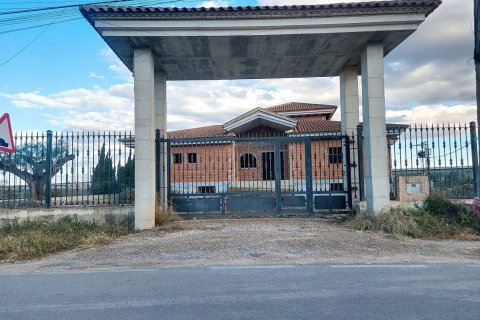 Villa pārdošanā Orihuela, Alicante, Spānijā 6 istabas, 1000 m2 Nr. 129644 - attēls 11
