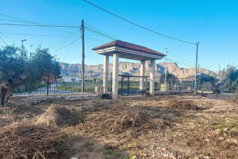 Villa pārdošanā Orihuela, Alicante, Spānijā 6 istabas, 1000 m2 Nr. 129644 - attēls 5