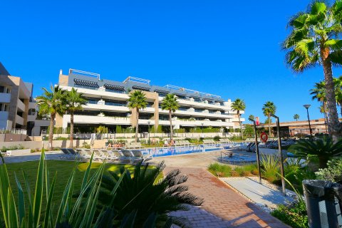Продажа квартиры Аликанте, Испания 2 спальни, 74м2 №129642 - фото 25