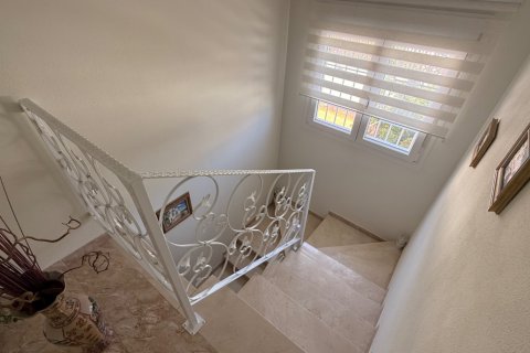 Villa for sale Torrevieja, Alicante, Spain 7 bedrooms, 311 sq.m. No. 129643 - photo 25