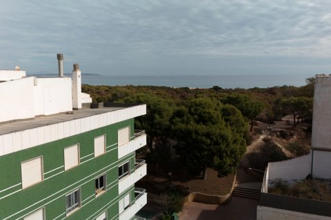 Bungalo pārdošanā Guardamar del Segura, Alicante, Spānijā 1 istaba, 53 m2 Nr. 122897 - attēls 18