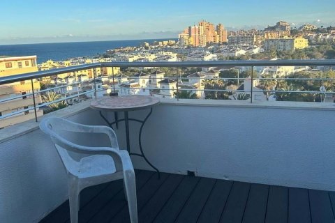 Продажа квартиры Торревьеха, Аликанте, Испания 2 спальни, 157м2 №125283 - фото 18