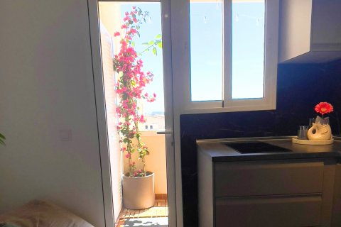 Apartment for rent Palma de Majorca, Mallorca, Spain 1 bedroom, 30 sq.m. No. 130980 - photo 2