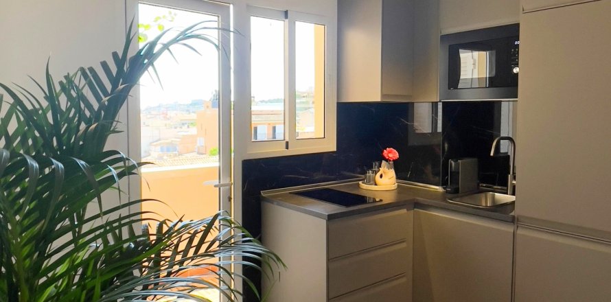 Apartment Palma de Majorca, Mallorca, Spain 1 bedroom, 30 sq.m. No. 130980
