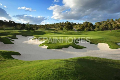 Villa in vendita a San Miguel de Salinas, Alicante, Spagna 3 camere da letto, 100 mq. N° 121477 - foto 6