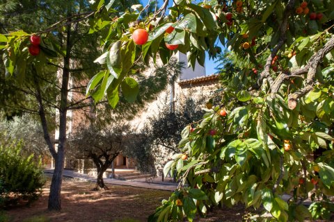 Villa till salu Soller, Mallorca, Spanien 7 sovrum, 512 kvm. Nr. 128274 - foto 15