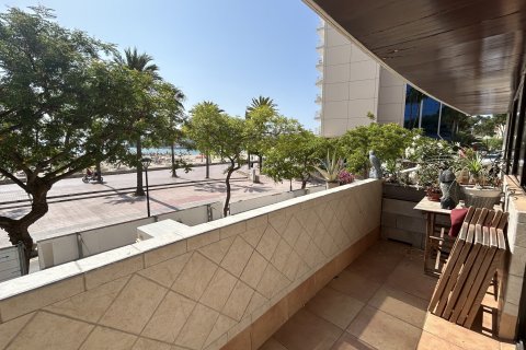 Apartment for rent Palmanova, Mallorca, Spain 4 bedrooms, 114 sq.m. No. 128272 - photo 11