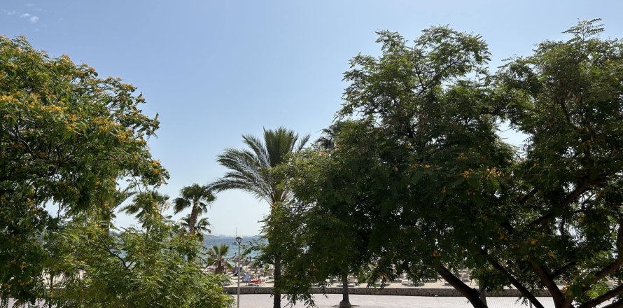 Apartment Palmanova, Mallorca, Spain 4 bedrooms, 114 sq.m. No. 128272