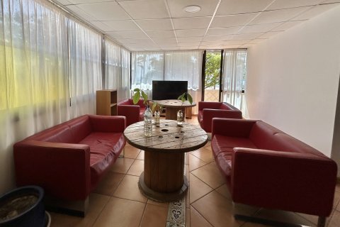 Apartment for rent Palmanova, Mallorca, Spain 4 bedrooms, 114 sq.m. No. 128272 - photo 2