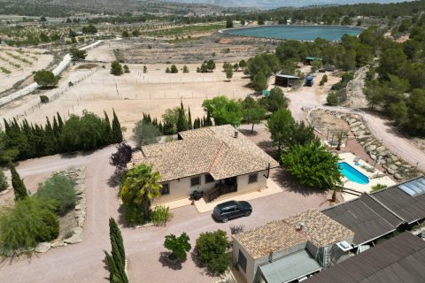 Villa in vendita Monovar, Alicante, Spagna 9 camere da letto, 831 mq. N° 131844 - foto 4