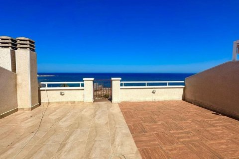Kattohuoneisto myytävänä Torrevieja, Alicante, Espanja, 2 makuuhuonetta, 78 m2 No. 127381 - kuva 20