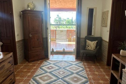 Finca for sale Elche, Alicante, Spain 3 bedrooms, 340 sq.m. No. 131881 - photo 16
