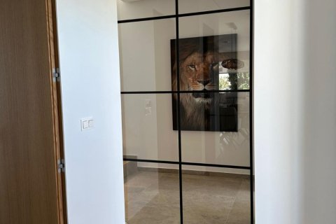 Villa for sale in Benijofar, Alicante, Spain 4 bedrooms, 475 sq.m. No. 131871 - photo 17