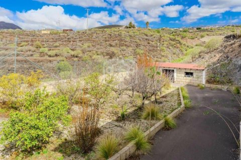 Villa à vendre San Miguel de Abona, Tenerife, Espagne, 4 chambres, 3000 m2 No. 120006 - photo 2