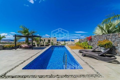 Villa à vendre Adeje, Tenerife, Espagne, 3 chambres, 336 m2 No. 120005 - photo 2