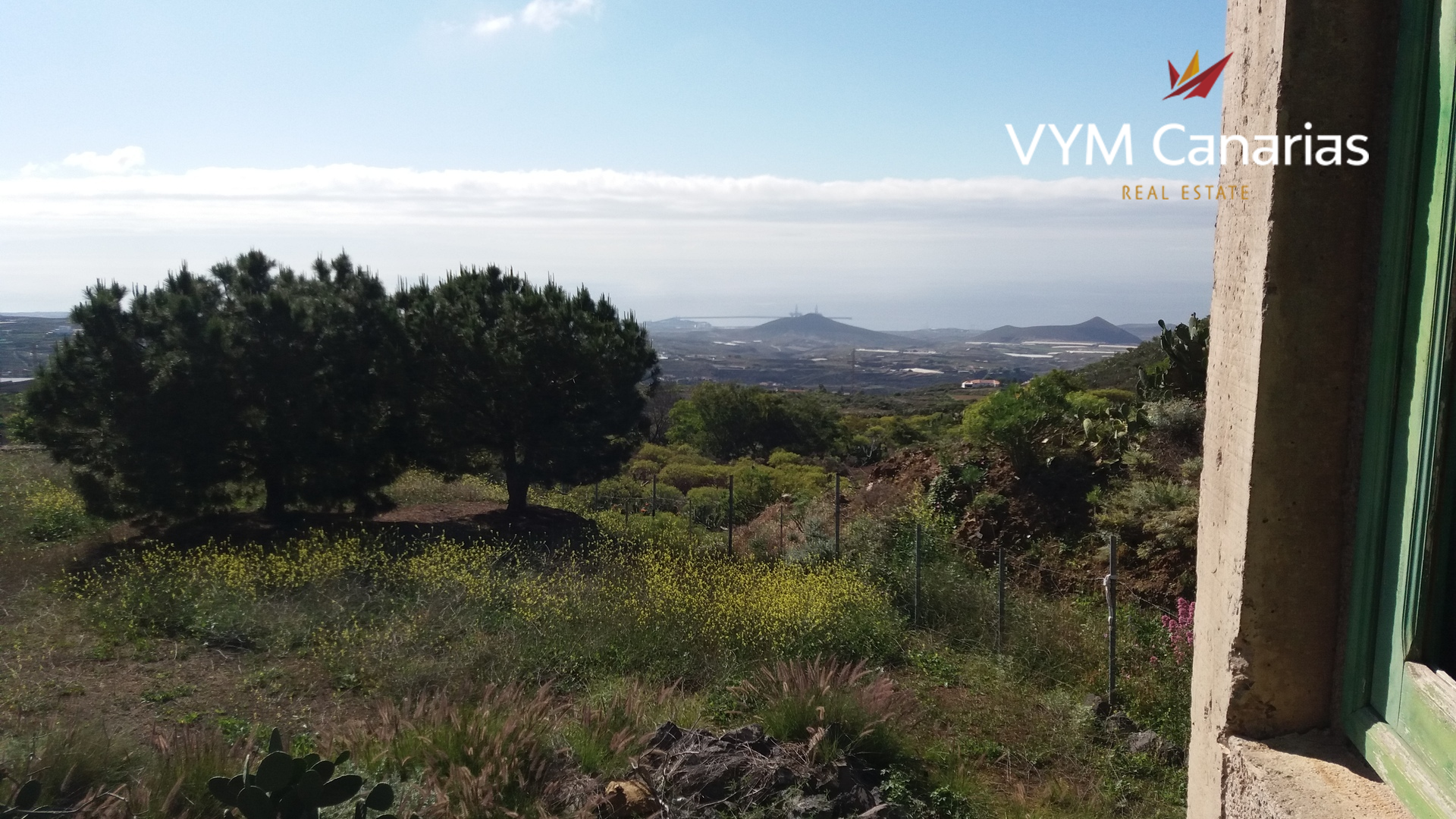Land in Granadilla de Abona, Tenerife, Spanien 1676 m2 Nr. 129840