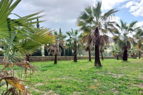 Villa for sale Lloret De Vistalegre, Mallorca, Spain No. 127042 - photo 4