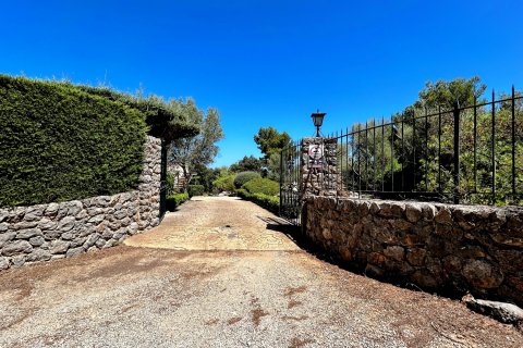 Kamienica Valldemosa, Mallorca, Hiszpania 4 sypialnie, 338 mkw. nr 128130 – zdjęcie 21