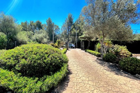 Kamienica Valldemosa, Mallorca, Hiszpania 4 sypialnie, 338 mkw. nr 128130 – zdjęcie 16