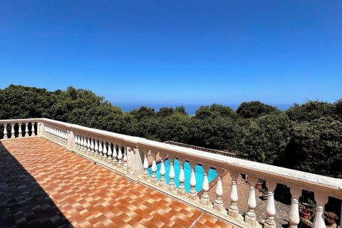Kamienica Valldemosa, Mallorca, Hiszpania 4 sypialnie, 338 mkw. nr 128130 – zdjęcie 5