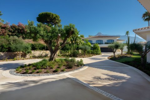 House for sale Marbella, Malaga, Spain 16 bedrooms, 2000 sq.m. No. 130261 - photo 4