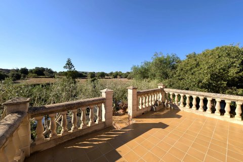 Finca for rent Cas Concos Des Cavaller, Mallorca, Spain 4 bedrooms, 272 sq.m. No. 131013 - photo 10