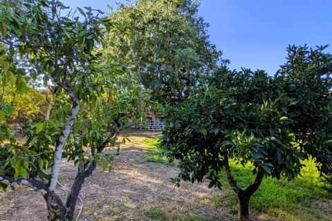 Finca for rent Cas Concos Des Cavaller, Mallorca, Spain 4 bedrooms, 272 sq.m. No. 131013 - photo 6