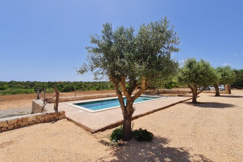 Finca zur Miete Sant Llorenc Des Cardassar, Mallorca, Spanien 3 Schlafzimmer, 150 m2 Nr. 131010 - Foto 4