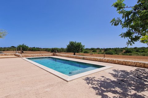 Finca zur Miete Sant Llorenc Des Cardassar, Mallorca, Spanien 3 Schlafzimmer, 150 m2 Nr. 131010 - Foto 3