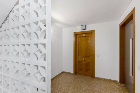 Apartment à vendre Torrevieja, Alicante, Espagne, 3 chambres,  No. 125768 - photo 28