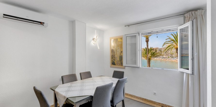Apartment Torrevieja, Alicante, Espagne 3 chambres, No. 125768