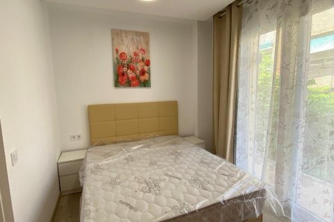 Dzīvoklis īrēšanai Campoamor, Alicante, Spānijā 2 istabas, 85 m2 Nr. 127374 - attēls 1