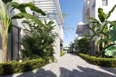 Apartment for sale Torre-Pacheco, Murcia, Spain 2 bedrooms,  No. 132649 - photo 7