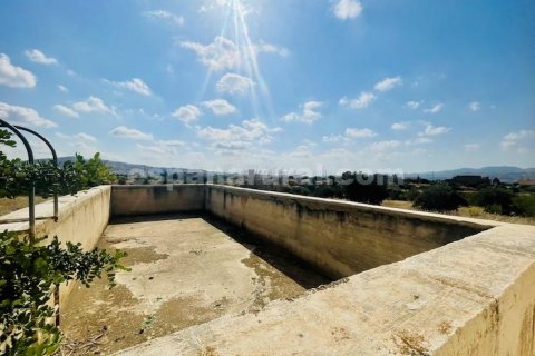 Villa à vendre Albox, Almeria, Espagne, 6 chambres, 342 m2 No. 128884 - photo 25
