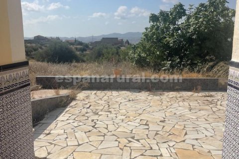 Villa à vendre Albox, Almeria, Espagne, 6 chambres, 342 m2 No. 128884 - photo 23