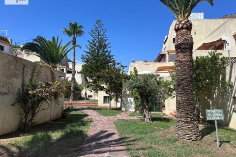 Apartment for rent Valencia, Spain 2 bedrooms, 68 sq.m. No. 129544 - photo 20