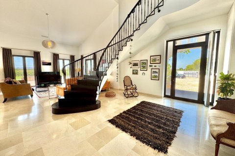 Villa for sale Dolores, Alicante, Spain 4 bedrooms, 425 sq.m. No. 131710 - photo 6